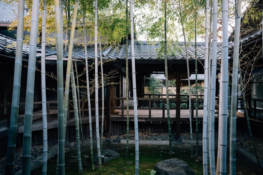 Healing site