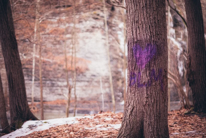 Healing spot.