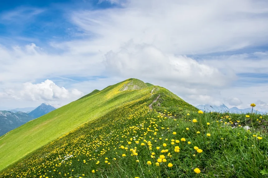 Hill
