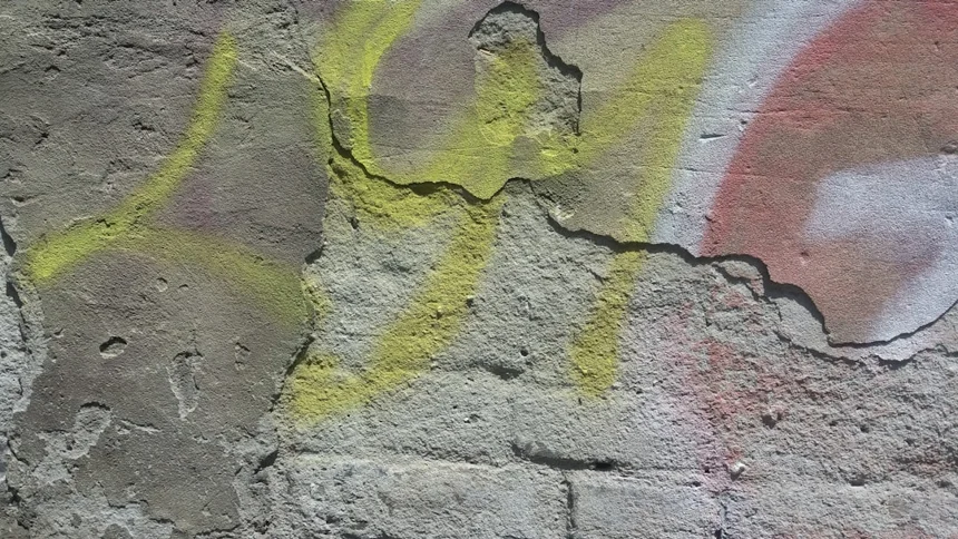 Homigot