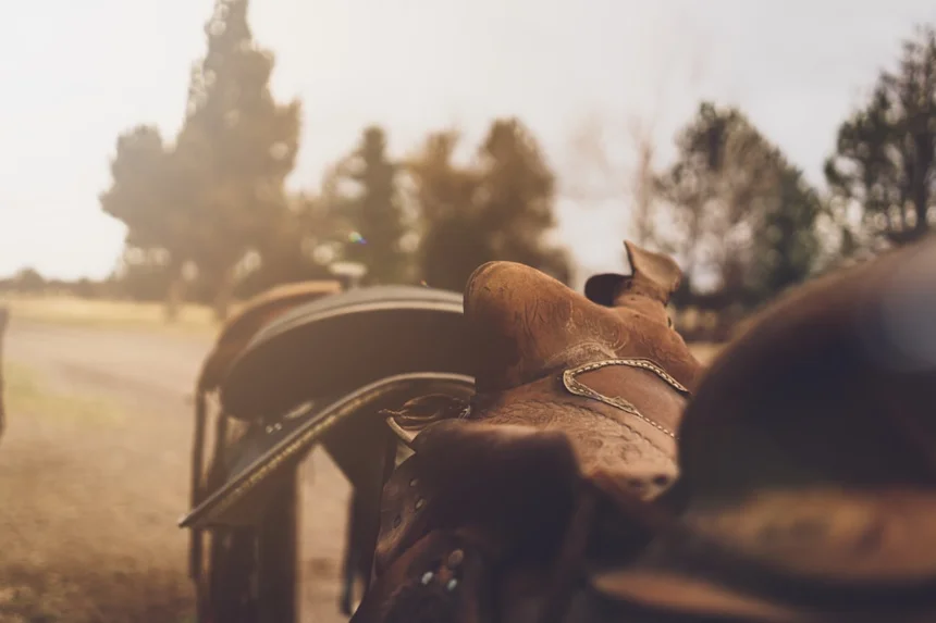 Horseback riding