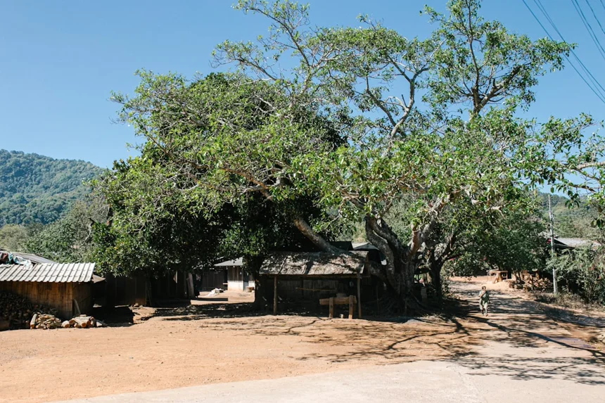 Hotteok