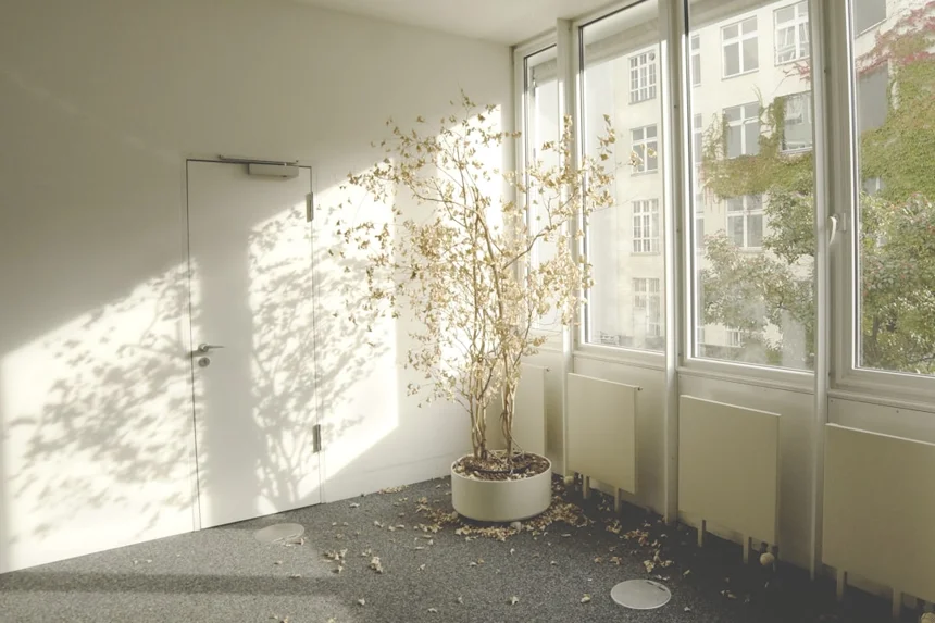 Indoor