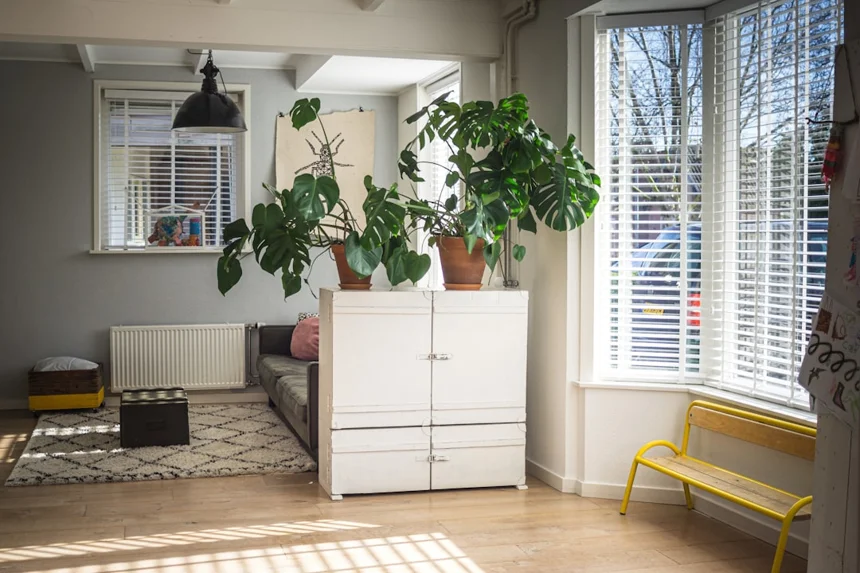 Indoor