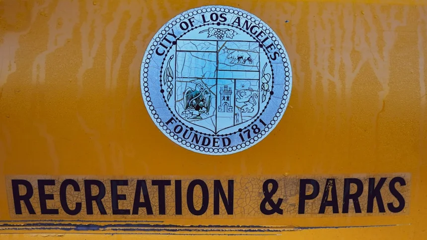 International License