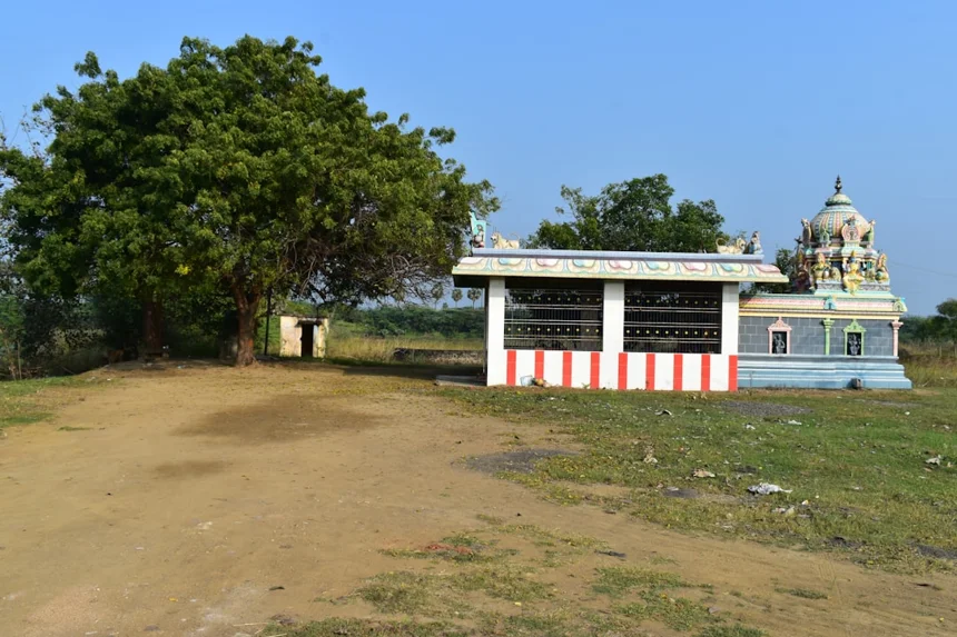 Jagalchi