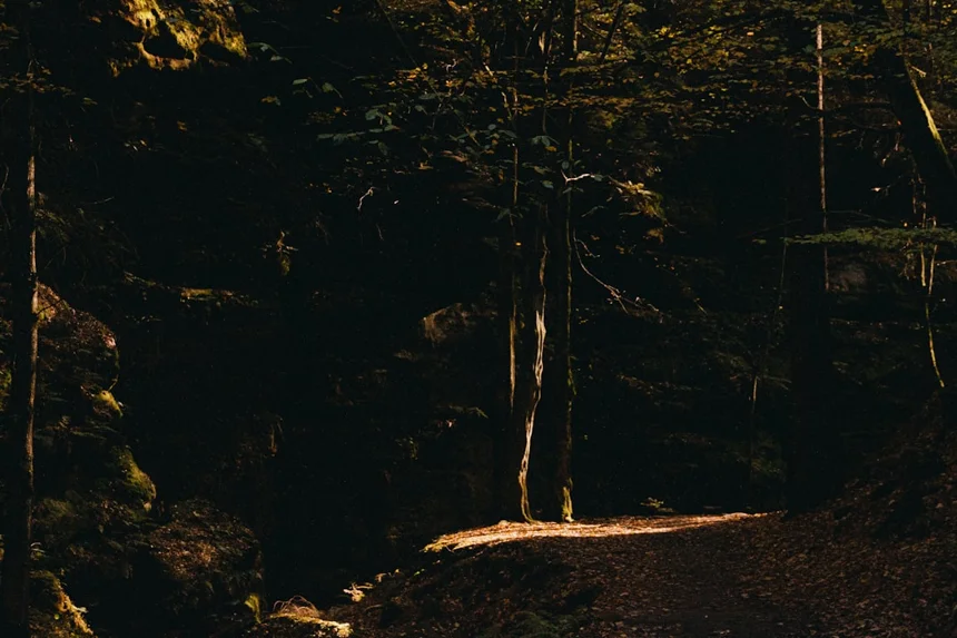 Jeju Olle Trail