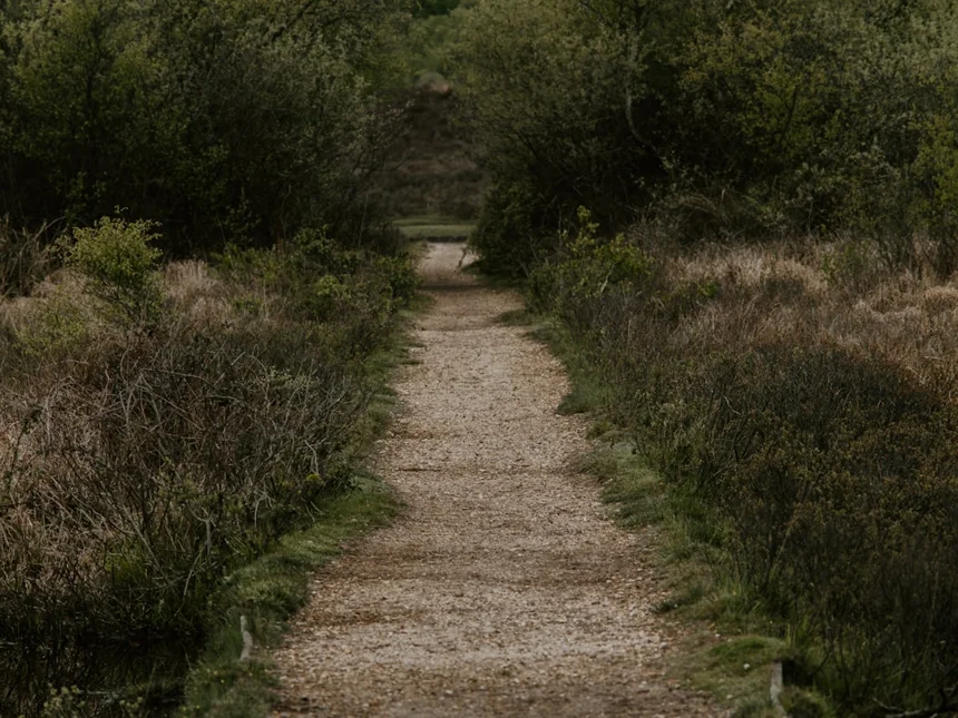 Jeju Olle Trail