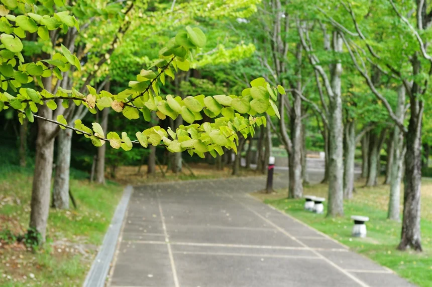 Kimhae Park