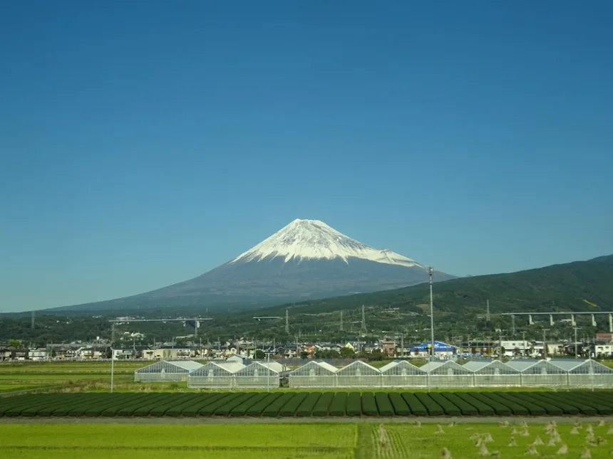 Kumamoto