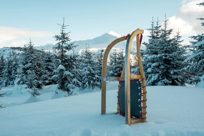 Luge