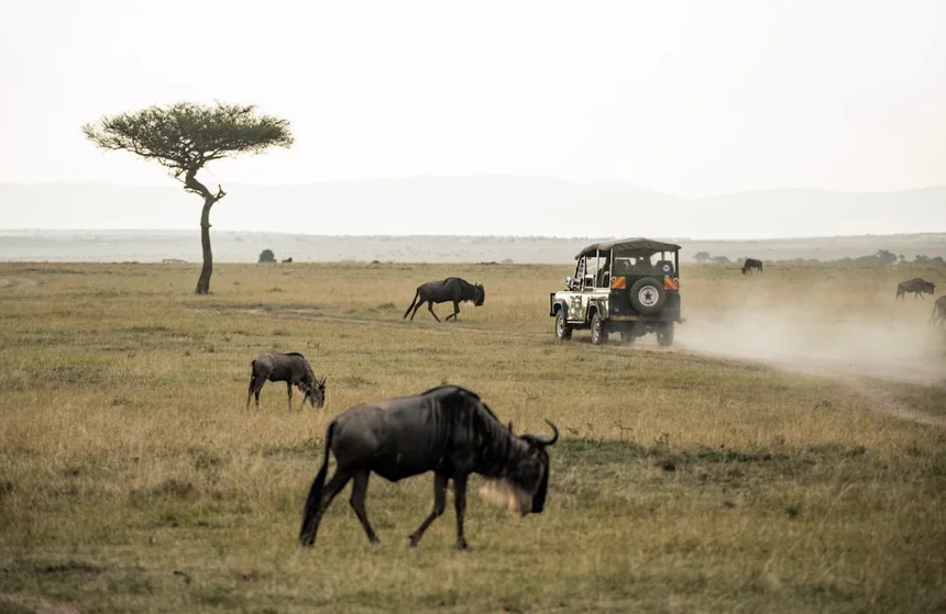 Masai Mara