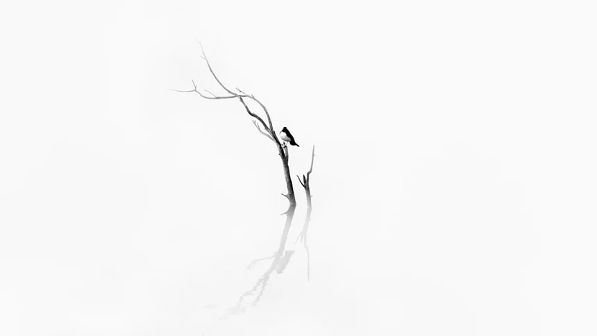 Minimalism