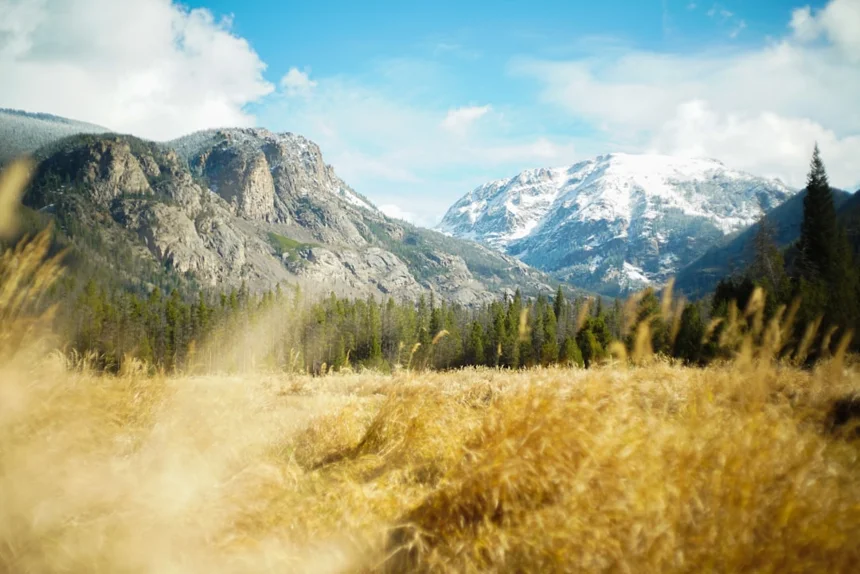 Mountains