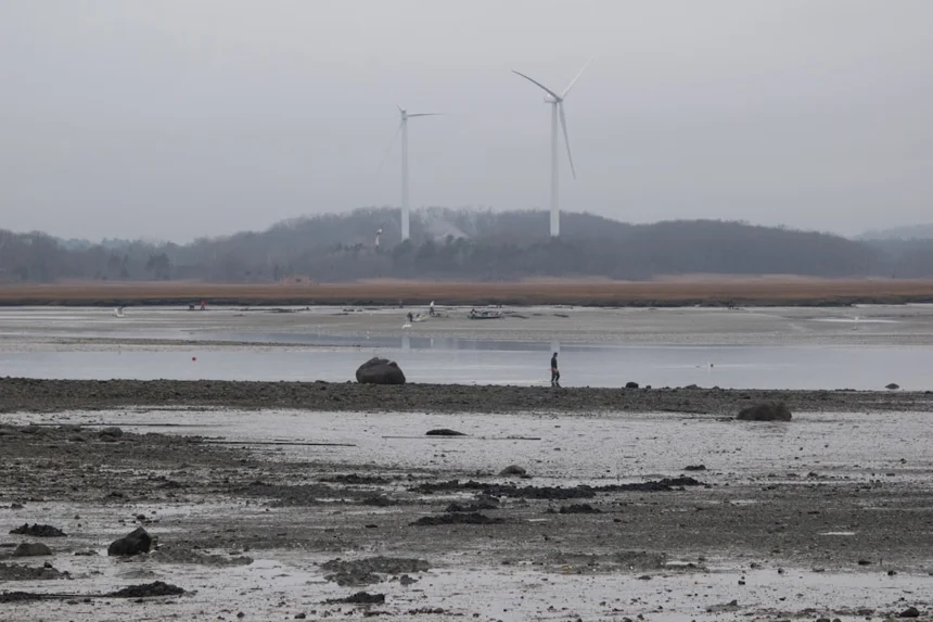 Mudflat