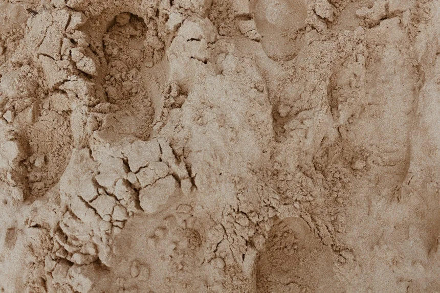 Mudflat