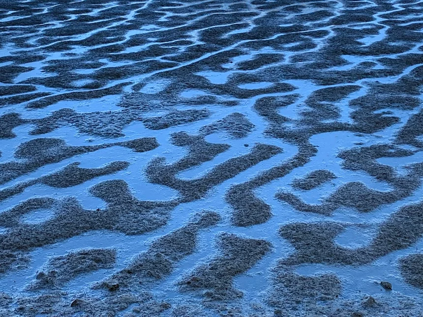 Mudflat
