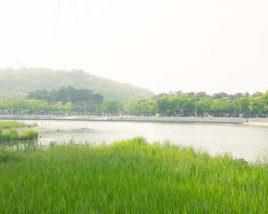 Namsan Park