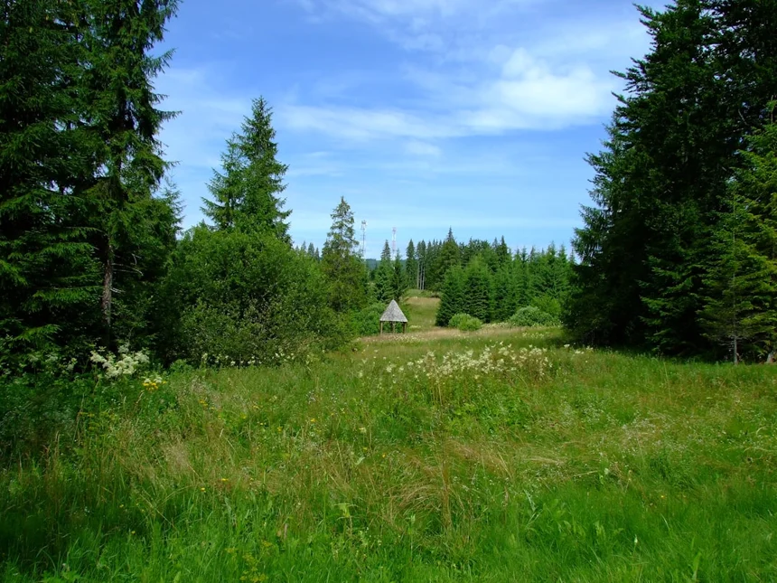 Natural Monument