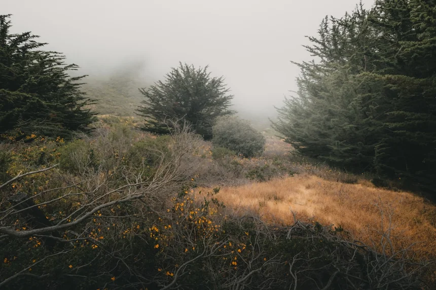 Nature.