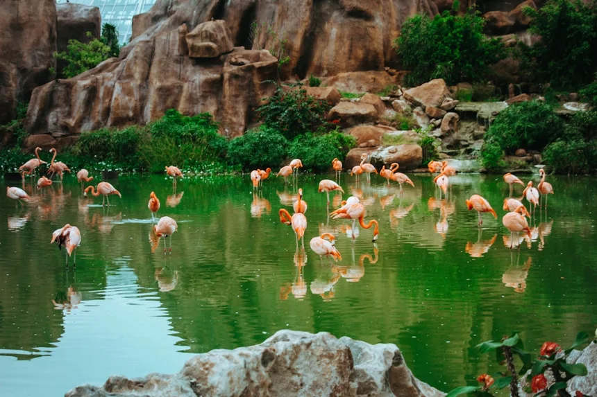 Nha Trang