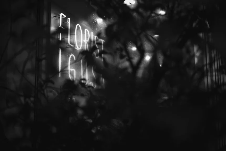Night view