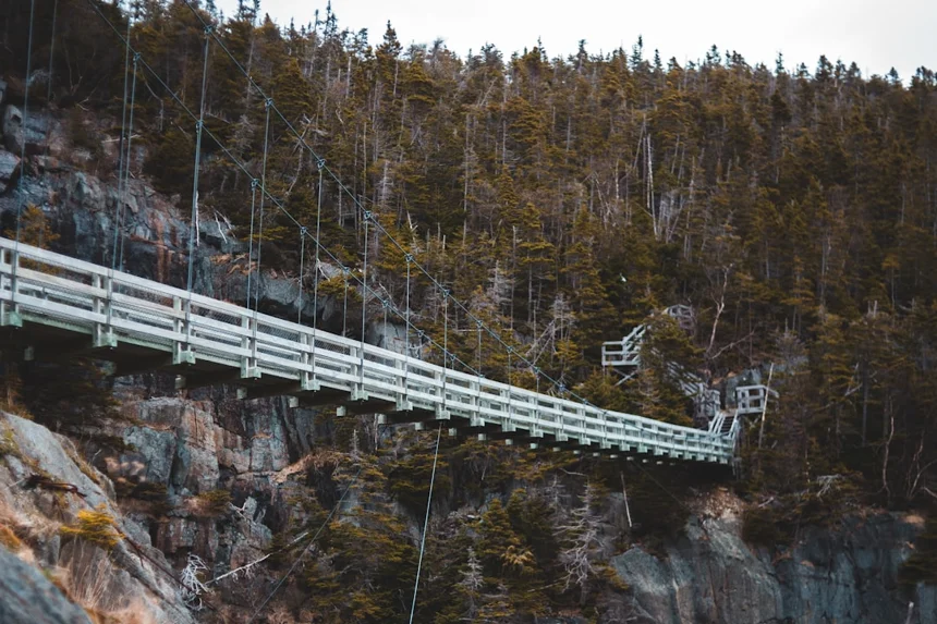 Nonsan Tappingho Suspension Bridge