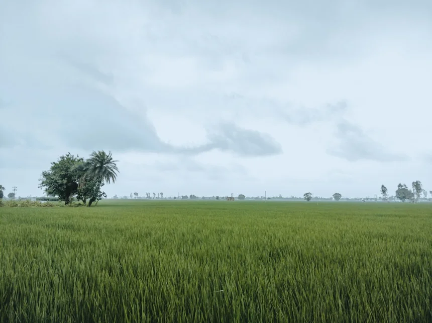 Oryukdo