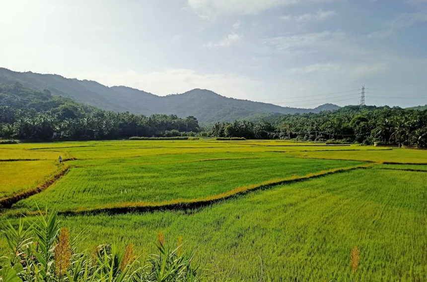Palgongsan