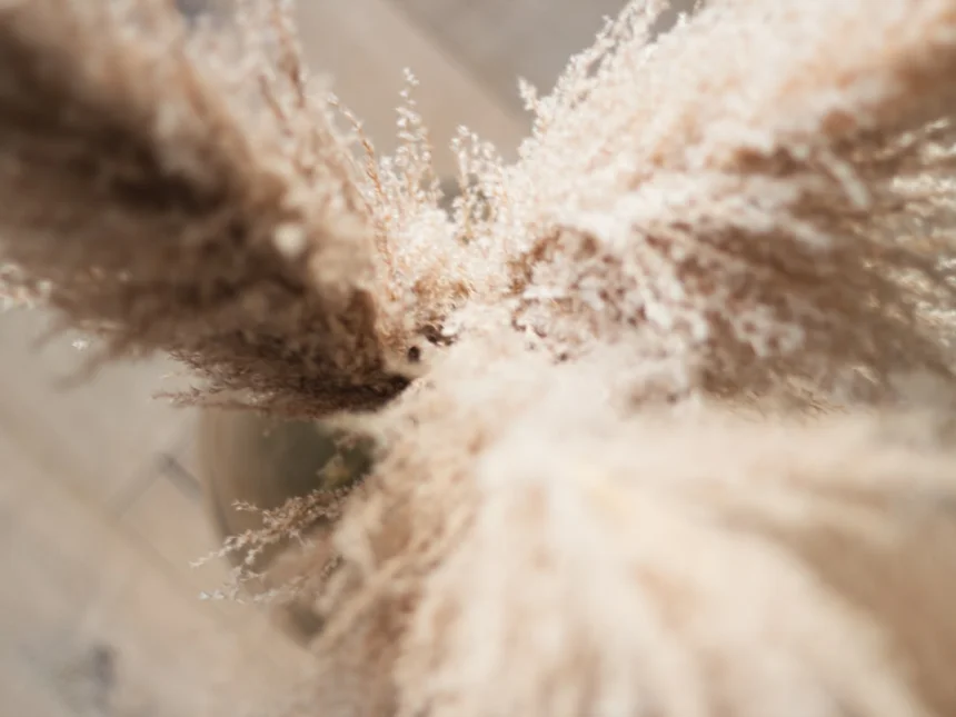 Pampas