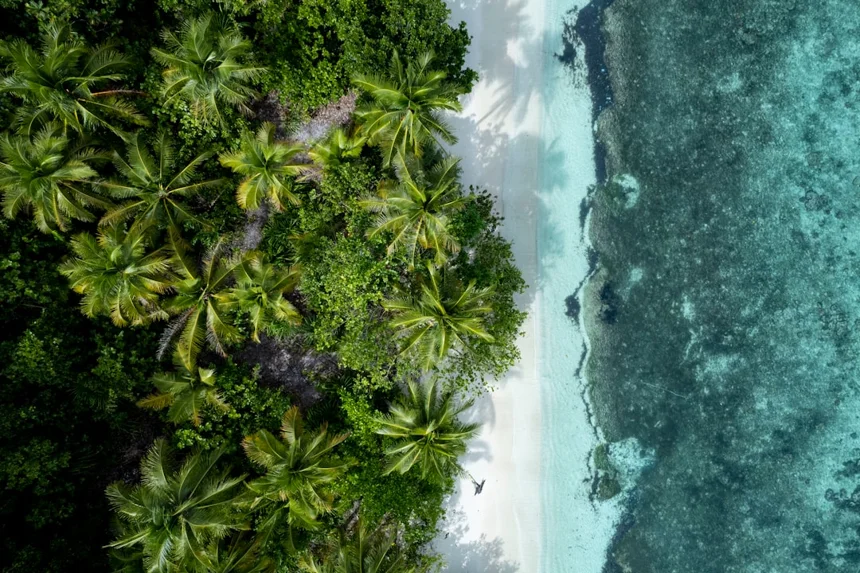 Paradise