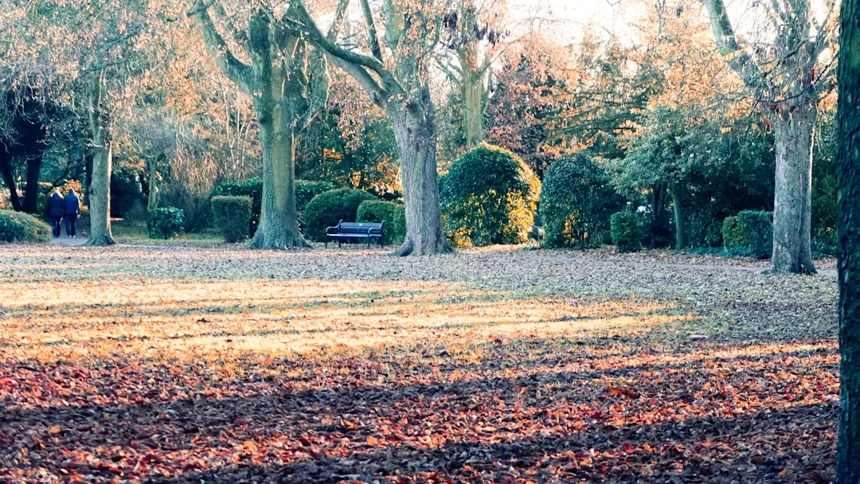 Park.