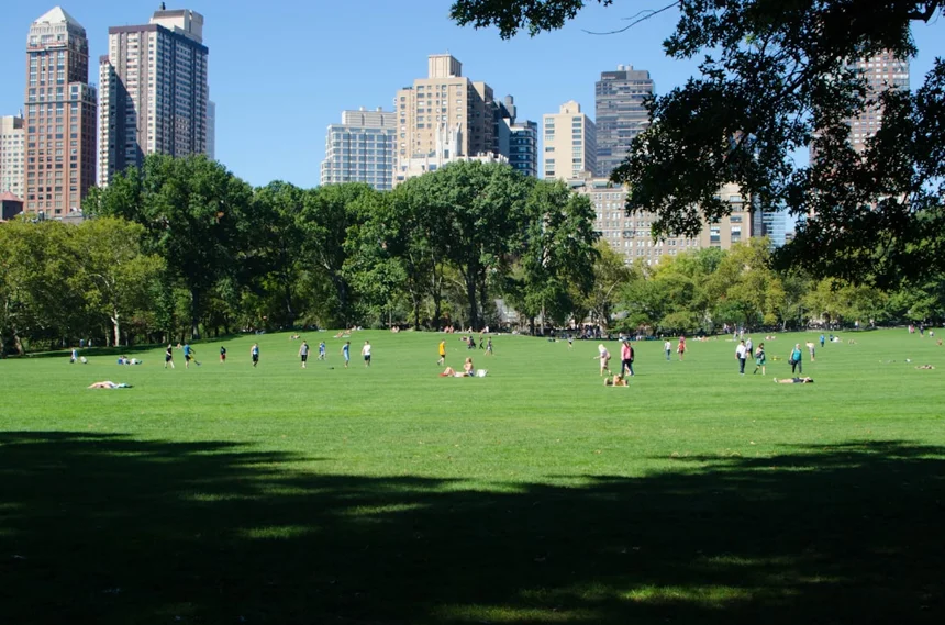 Park