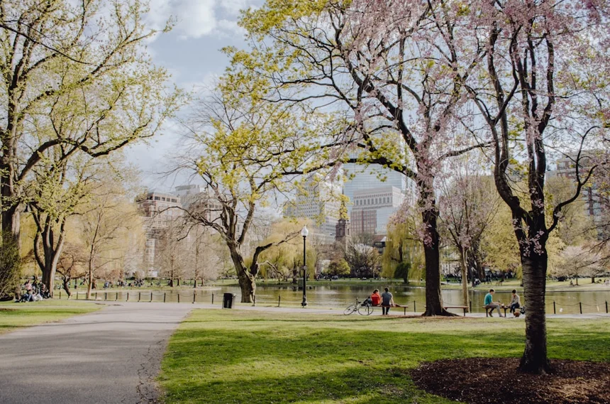 Park