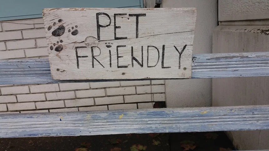 Pet-friendly