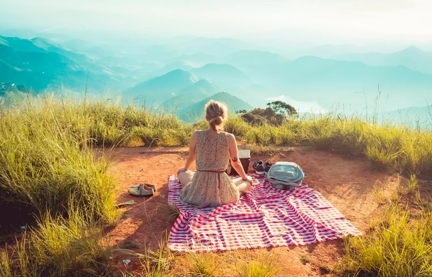 Picnic