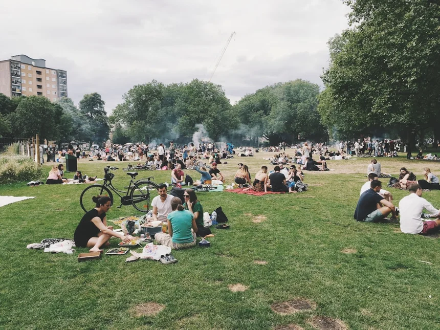 Picnic