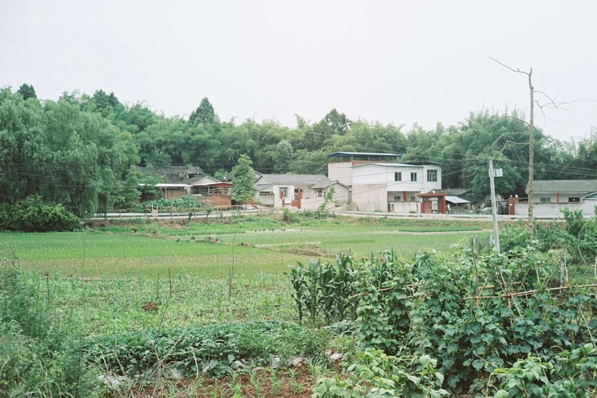 Pocheon