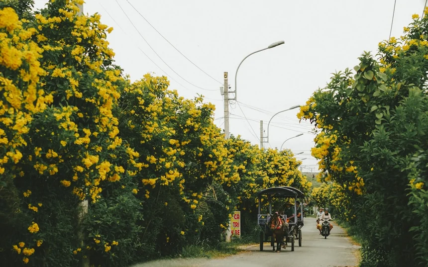 Pohang