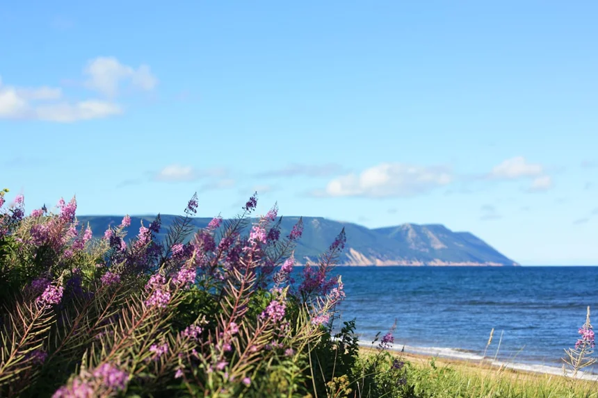 Purple Island