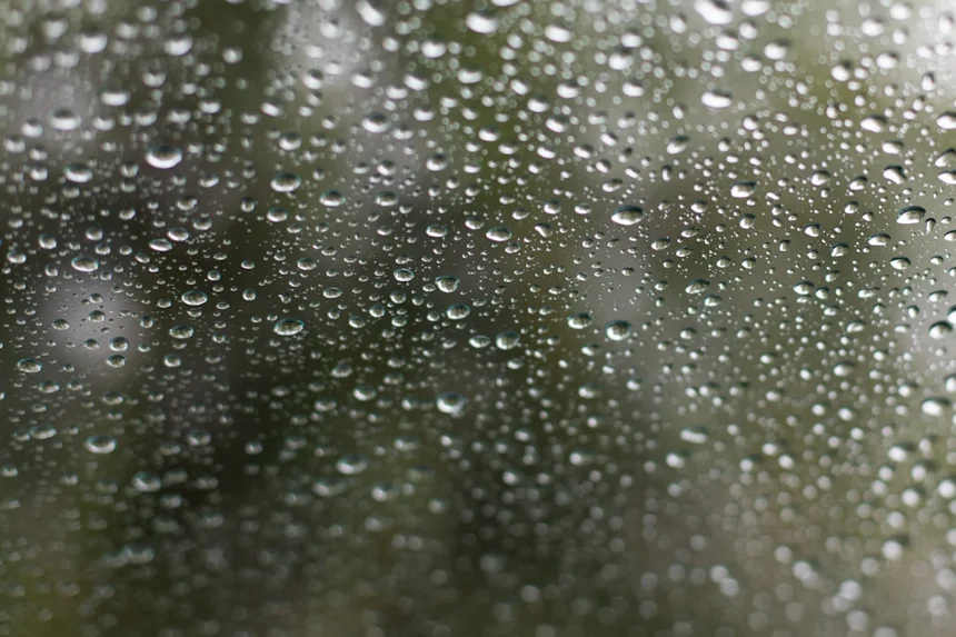Rain.