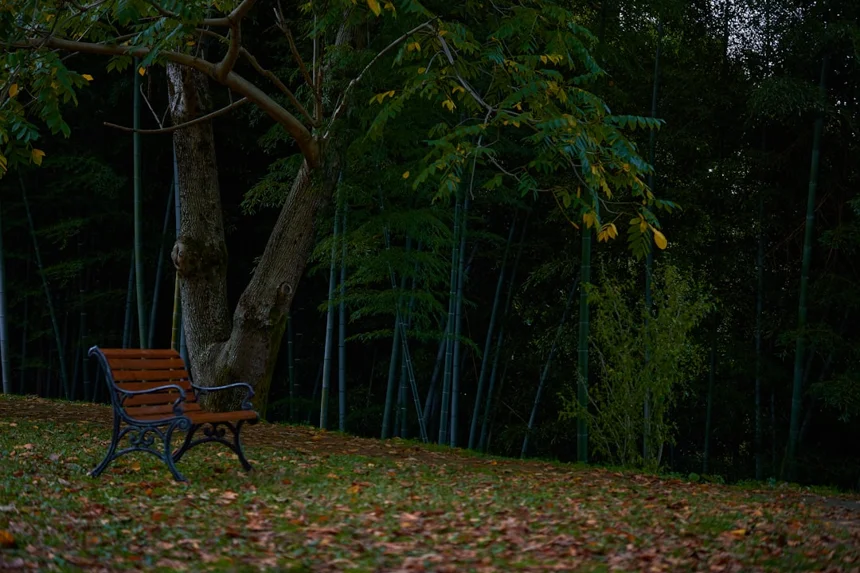 Rest stop