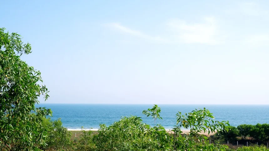 Samcheok 해상공원 (Samcheok Coastal Park)
