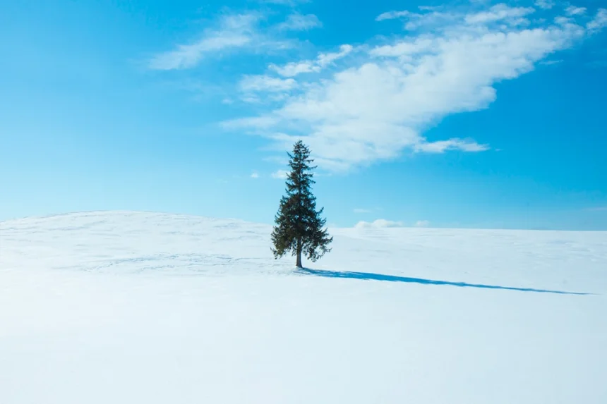Sapporo