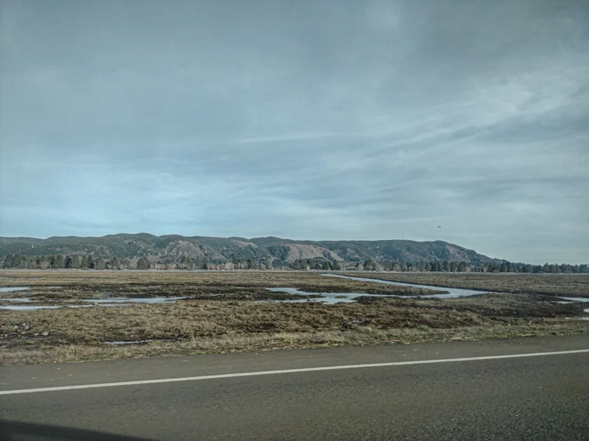 Scenery.
