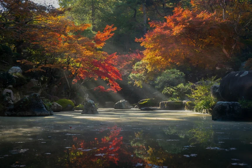 Scenery