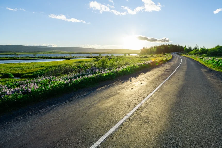 Scenic Drive