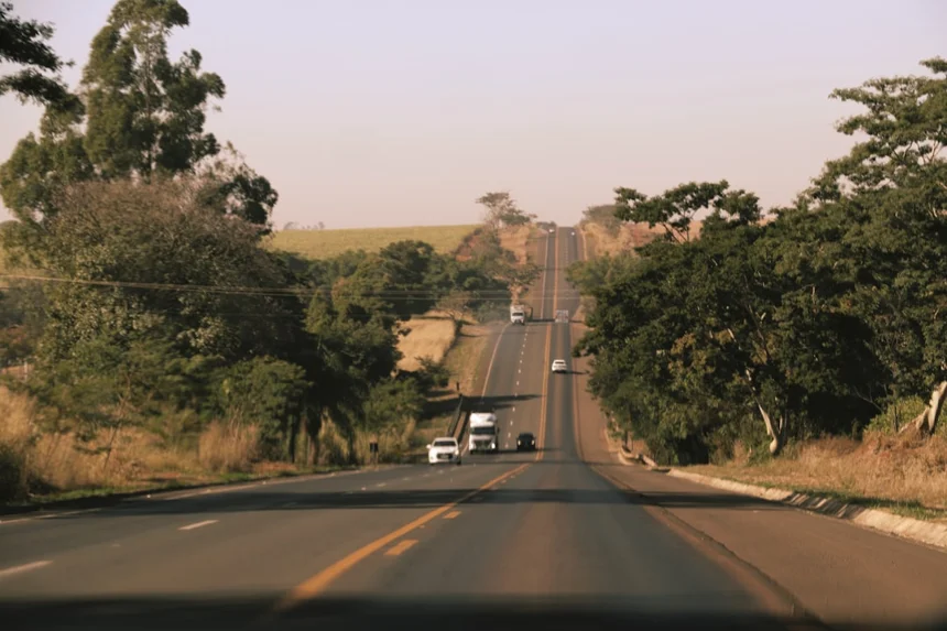 Scenic Drive