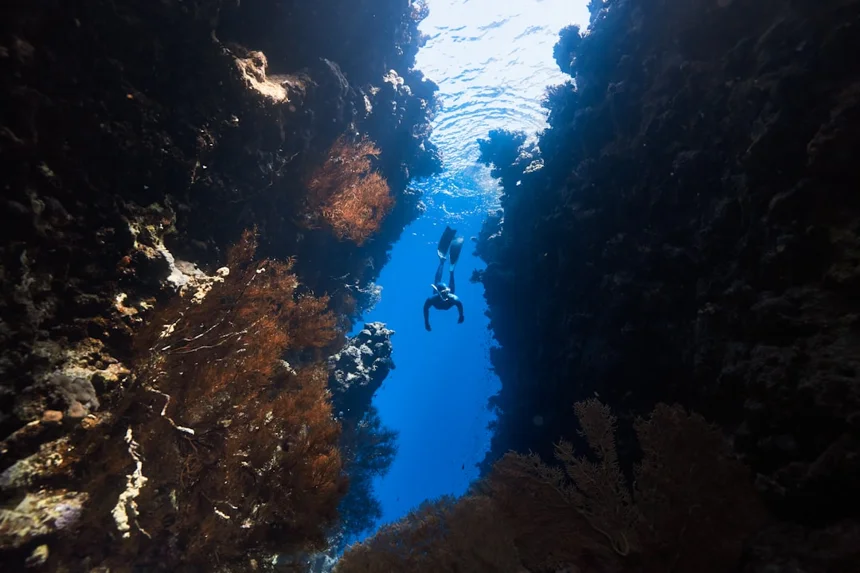 Scuba diving