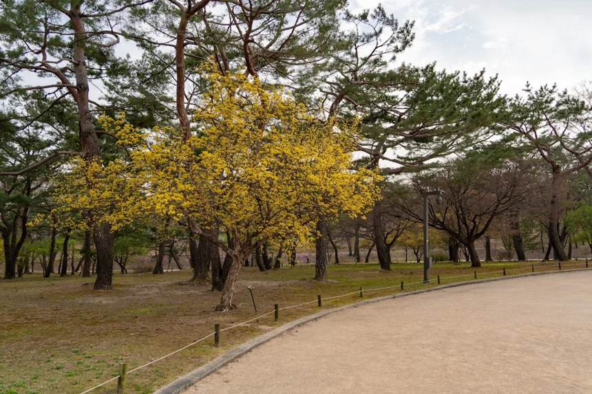 Seoul Grand Park